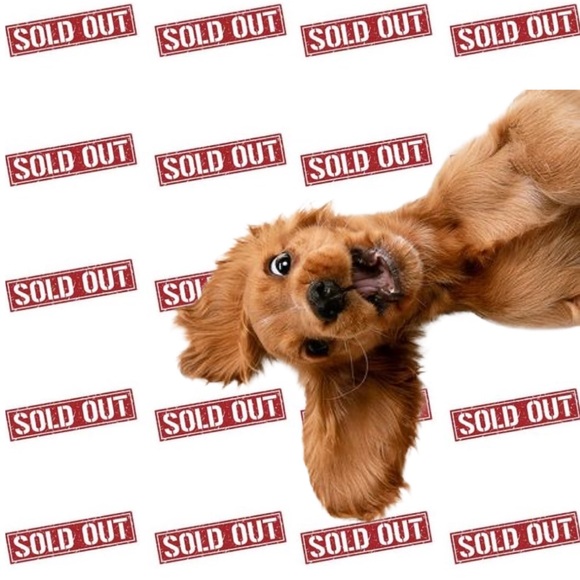 Coach Handbags - Coach Red Cherry Bag Charm Keychain With Gold Hardware